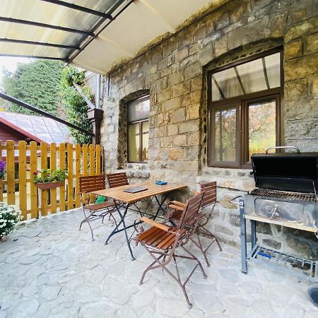 Apartment Carol Private Yard With Barbeque And Parking Sinaia Buitenkant foto
