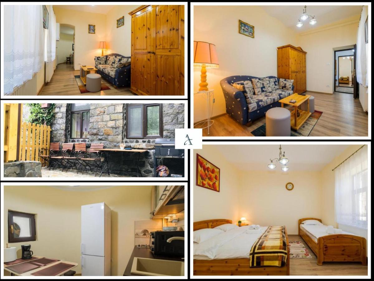 Apartment Carol Private Yard With Barbeque And Parking Sinaia Buitenkant foto