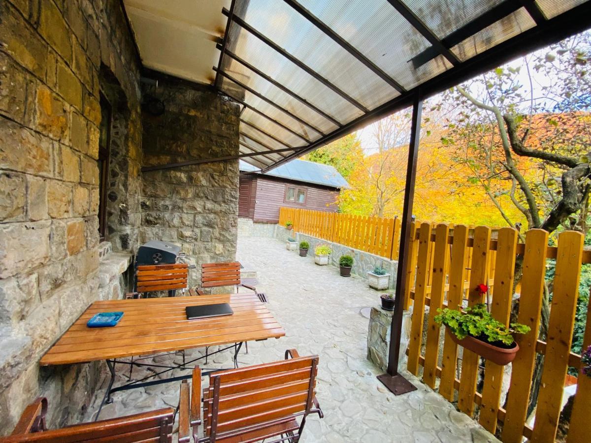 Apartment Carol Private Yard With Barbeque And Parking Sinaia Buitenkant foto