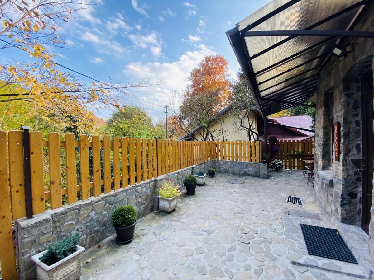 Apartment Carol Private Yard With Barbeque And Parking Sinaia Buitenkant foto