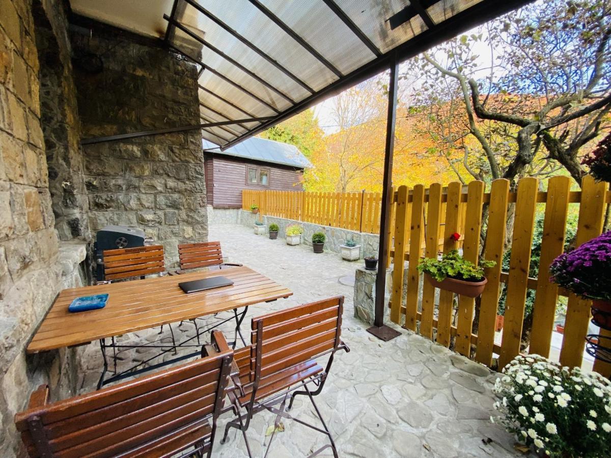 Apartment Carol Private Yard With Barbeque And Parking Sinaia Buitenkant foto
