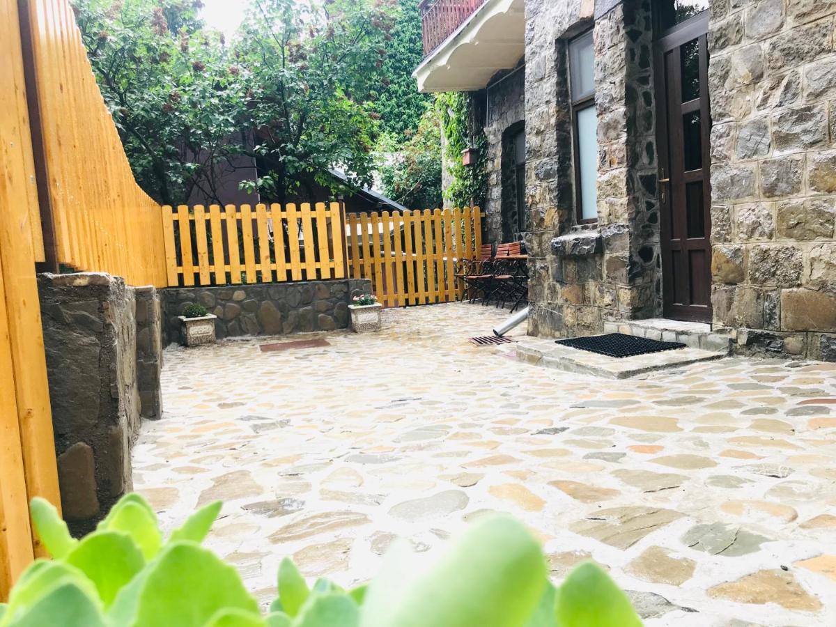 Apartment Carol Private Yard With Barbeque And Parking Sinaia Buitenkant foto