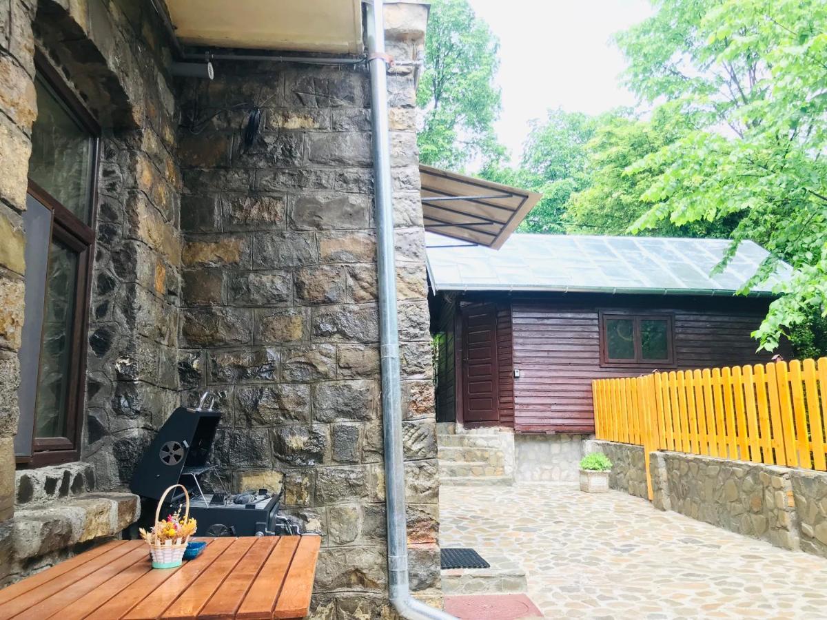 Apartment Carol Private Yard With Barbeque And Parking Sinaia Buitenkant foto